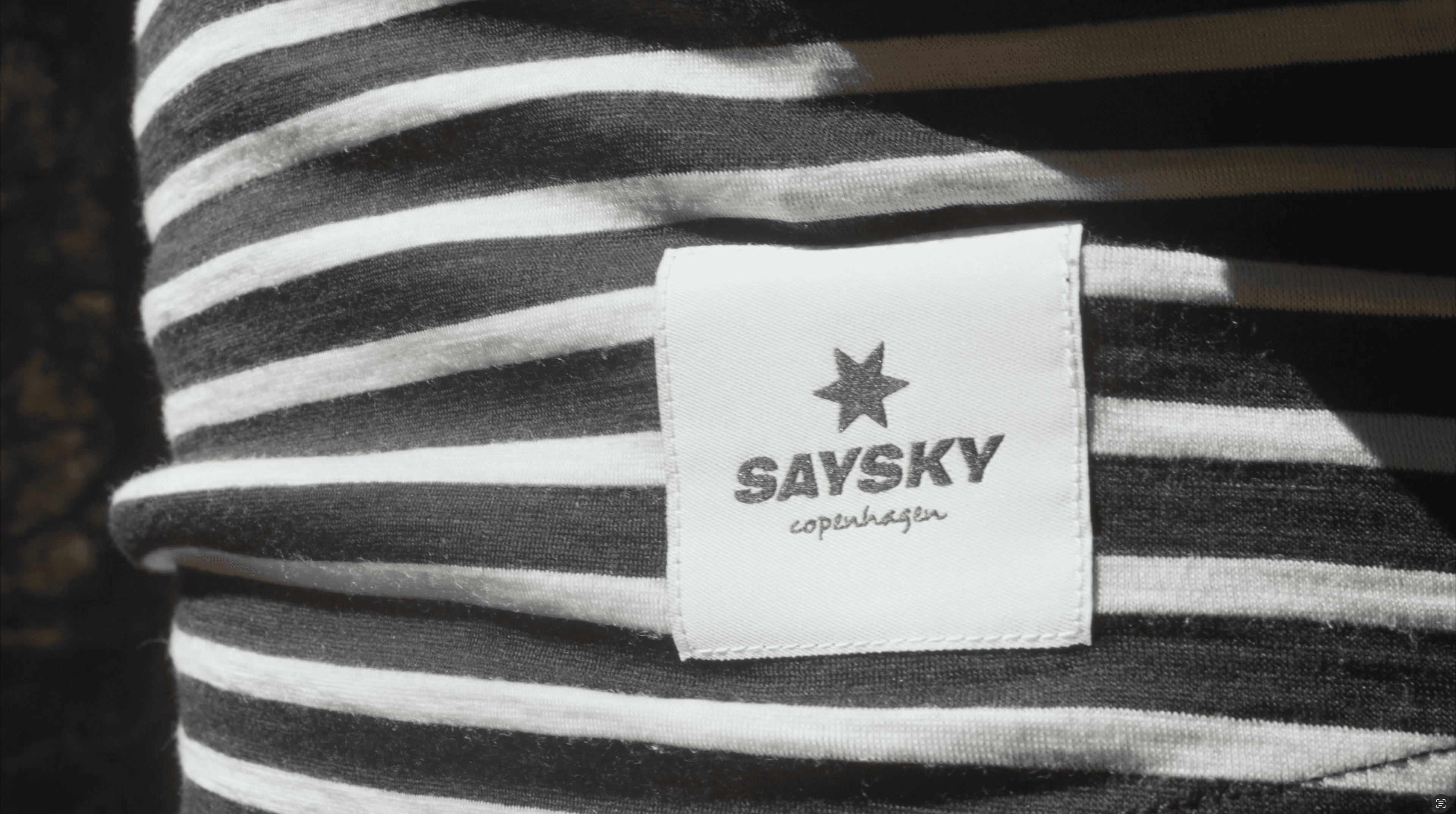SAYSKY image 2